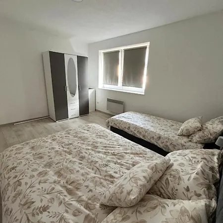 Rosa Canina 2 - Centar *